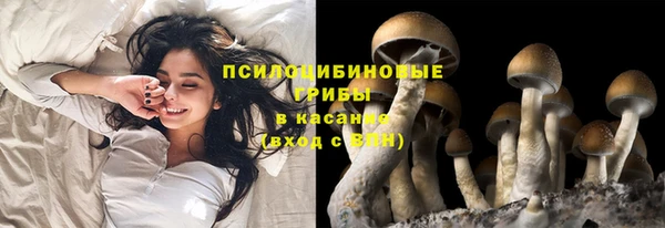 первитин Алексеевка