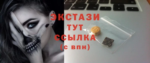 гашик Каменка