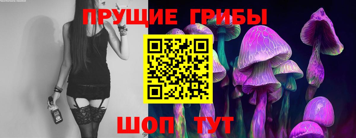Галлюциногенные грибы MAGIC MUSHROOMS  Вход с VPN  Якутск 